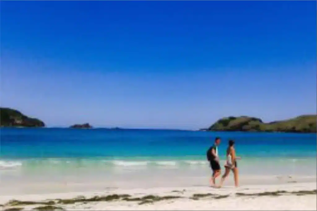 Pemandangan panorama Pantai Tanjung Aan dan Bukit Merese di Lombok Tengah, destinasi wisata unggulan Nusa Tenggara Barat.