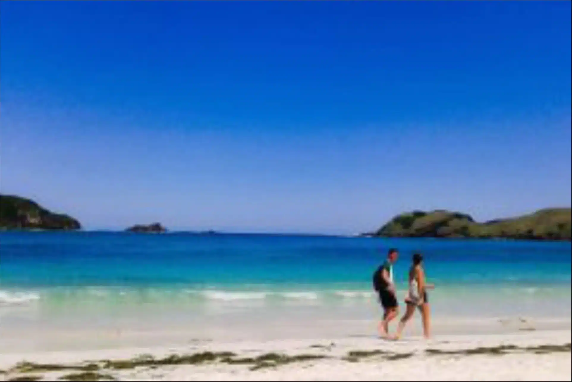 Pemandangan panorama Pantai Tanjung Aan dan Bukit Merese di Lombok Tengah, destinasi wisata unggulan Nusa Tenggara Barat.