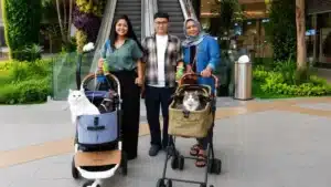 Grand Galaxy Park, cat-friendly mall