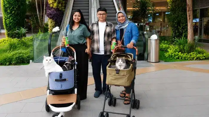 Grand Galaxy Park, cat-friendly mall